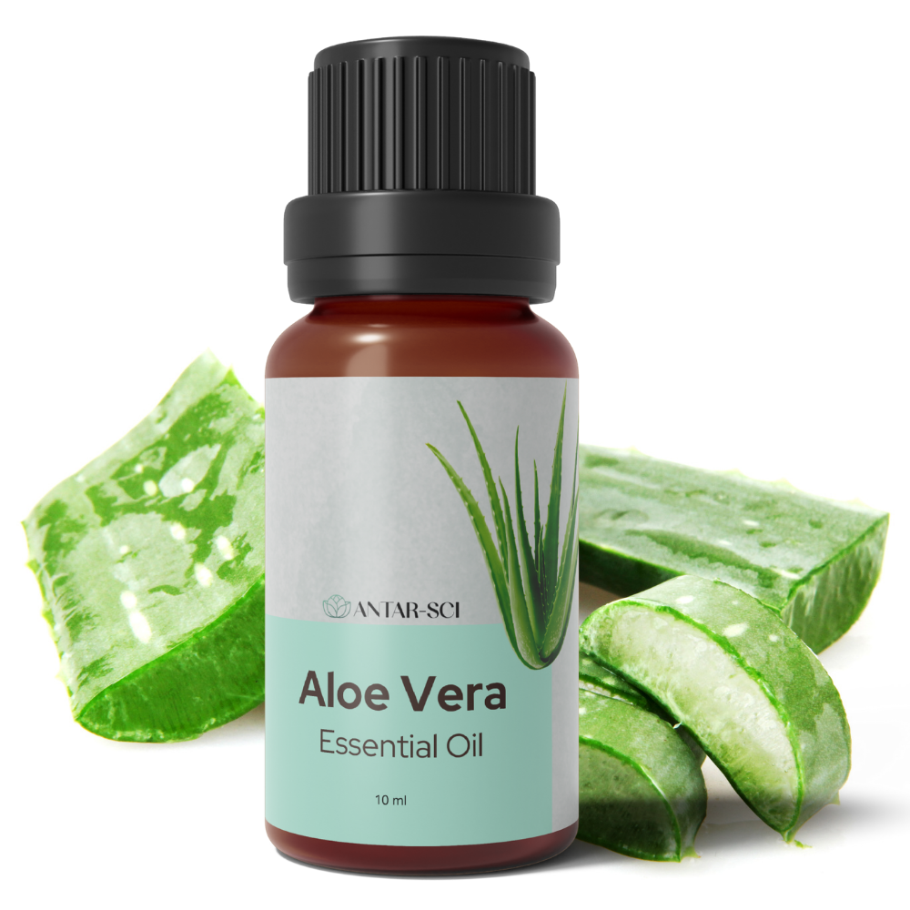 Aloe Vera Essential Oil for Self Care Aromatherapy | 100% Pure Natural