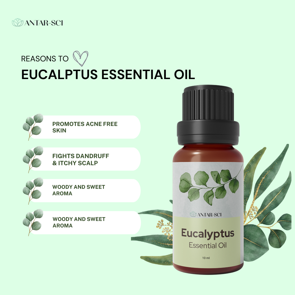 Eucalyptus Essential Oil for Self Care Aromatherapy | 100% Pure Natural