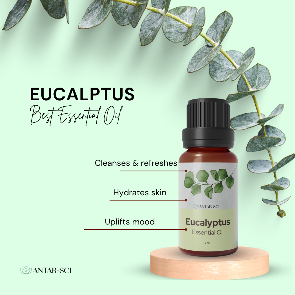 Eucalyptus Essential Oil for Self Care Aromatherapy | 100% Pure Natural