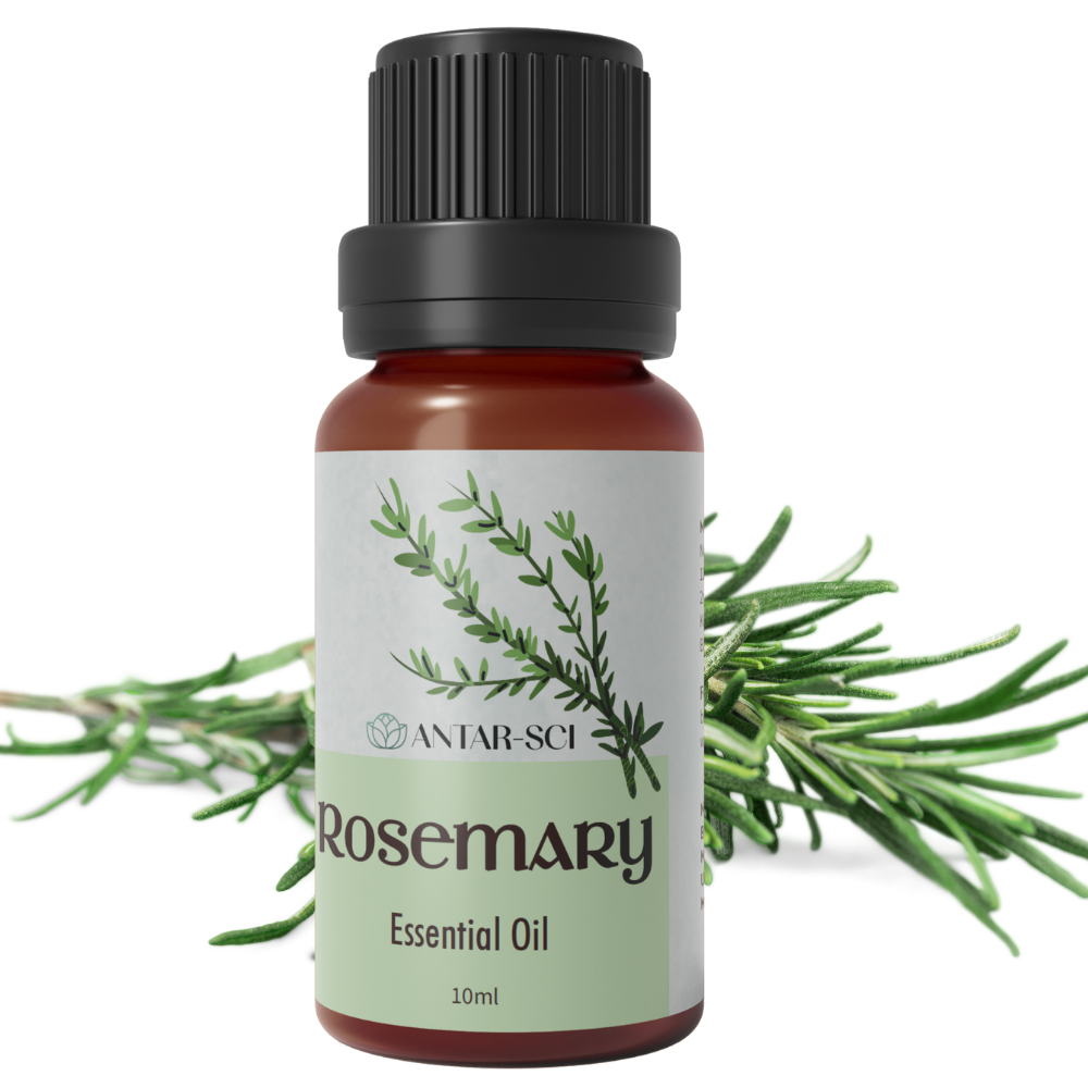 Rosemary Essential Oil for Self Care Aromatherapy | 100% Pure Natural