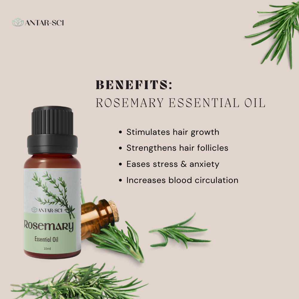 Rosemary Essential Oil for Self Care Aromatherapy | 100% Pure Natural