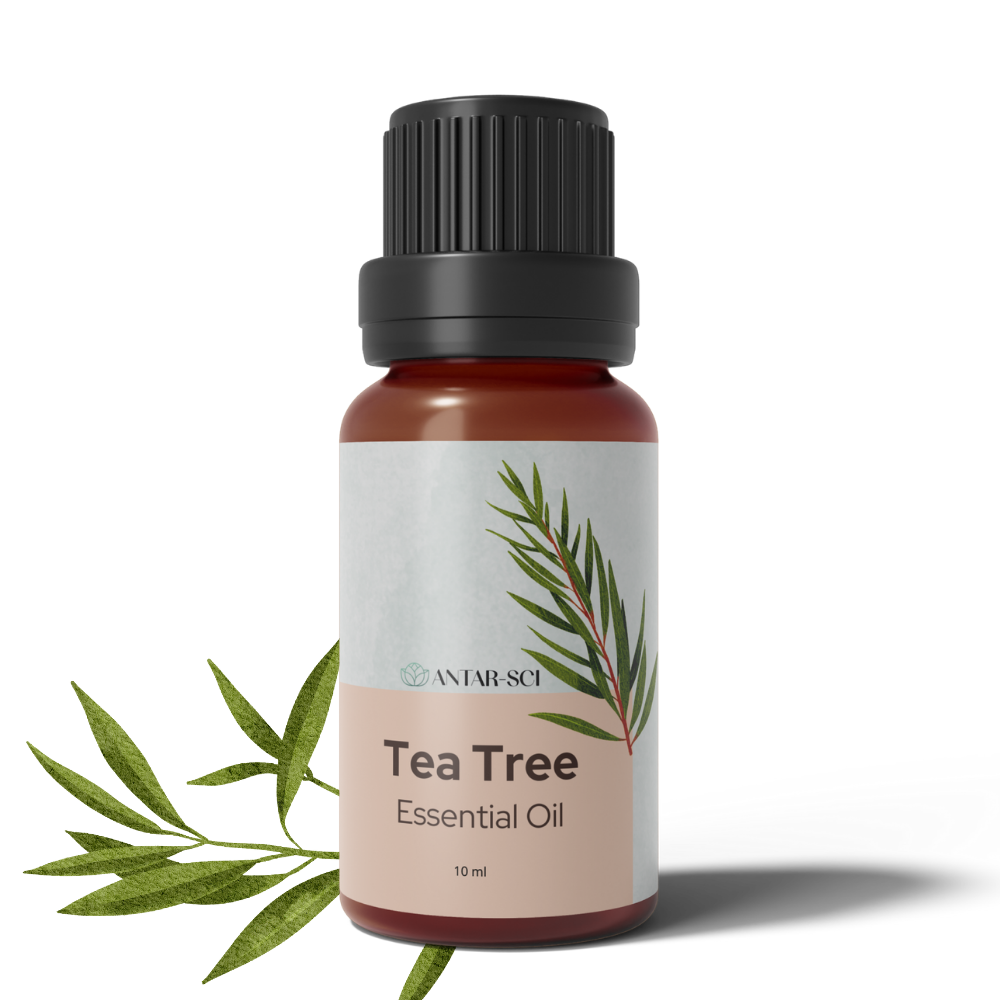 Tea Tree Essential Oil for Self Care Aromatherapy | 100% Pure Natural